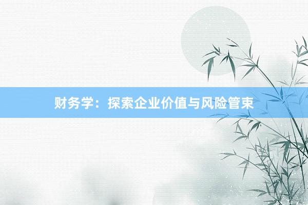 财务学：探索企业价值与风险管束